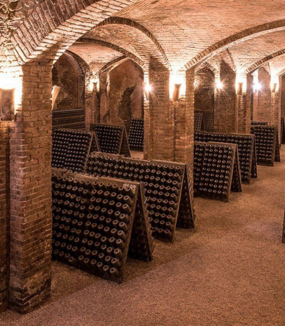 CANELLI - VISITA DELLE CANTINE STORICHE