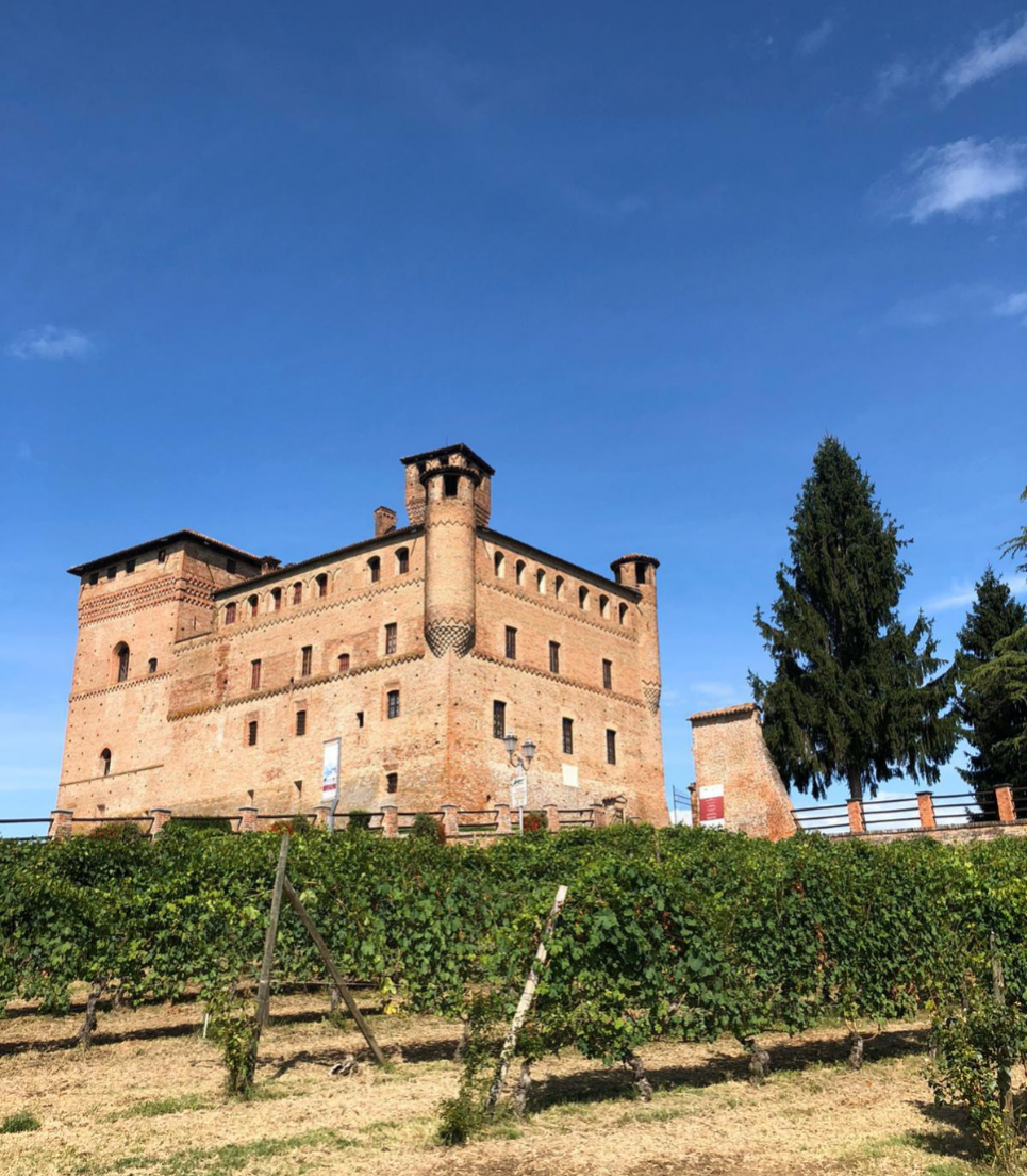 TOUR DELLE LANGHE IN BUS: ALBA, IL CASTELLO DI GRINZANE CAVOUR E LE COLLINE