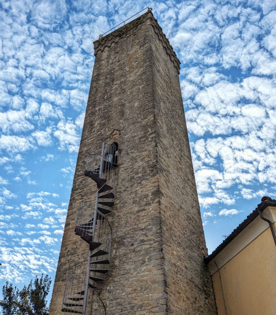 TOUR DELLE LANGHE IN BUS: SAPORI E PAESAGGI DELL'ALTA LANGA