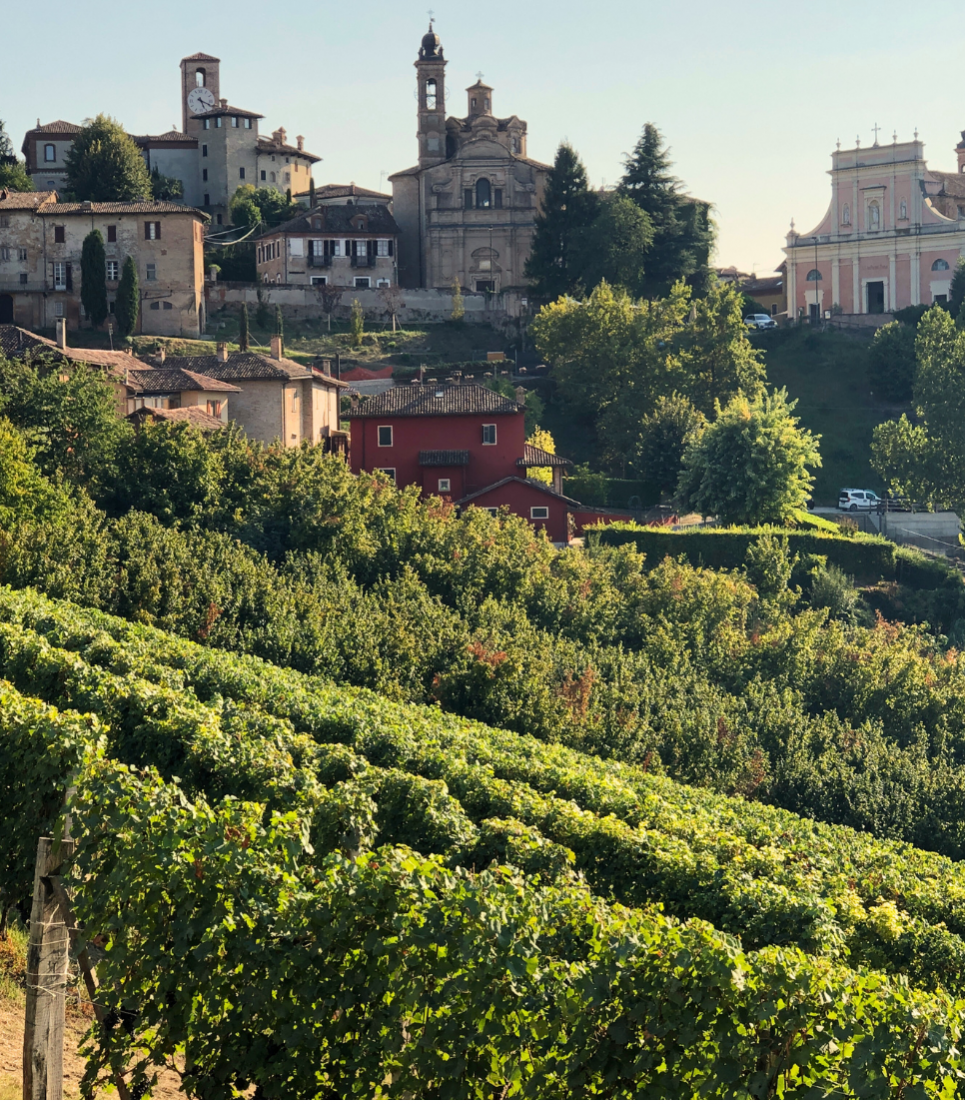 TOUR DELLE LANGHE IN BUS: LANGHE DEL BARBARESCO, TORRI E TREKKING