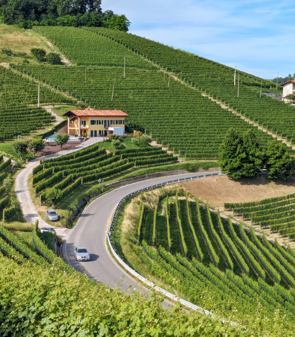 LANGHE TOUR BY BUS: LANGA OF BAROLO, GREAT VIEWS, FOOD AND WINE